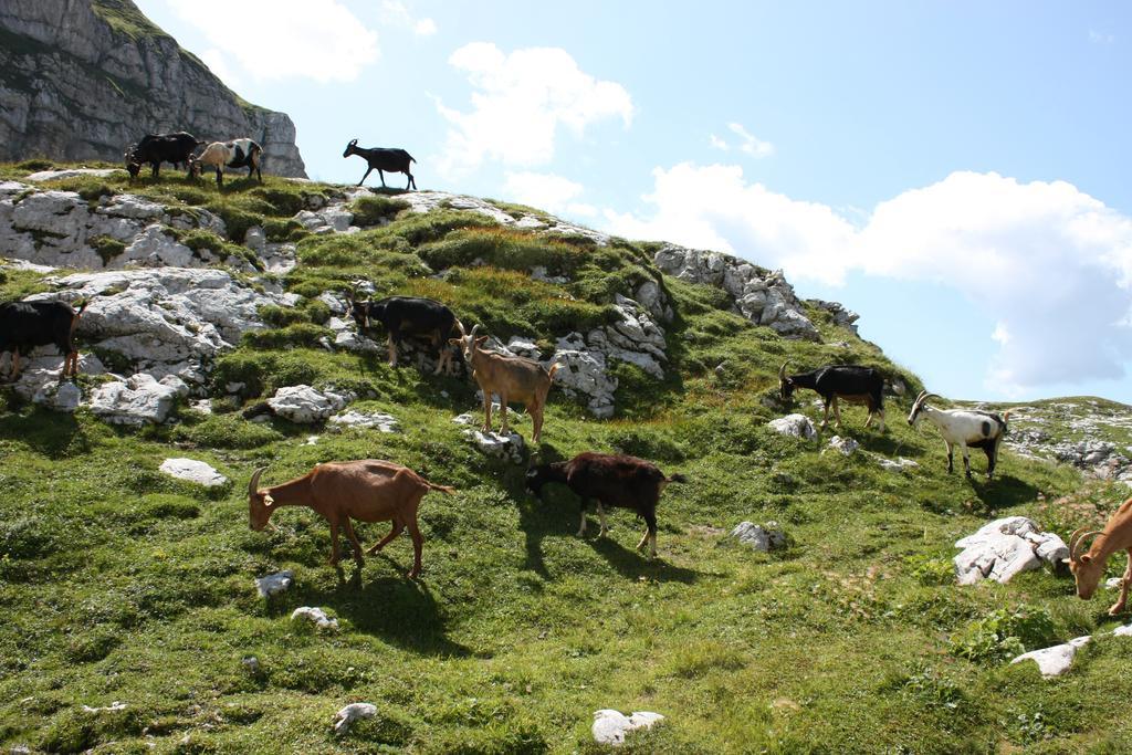 Hotel Alp Бовец Екстериор снимка